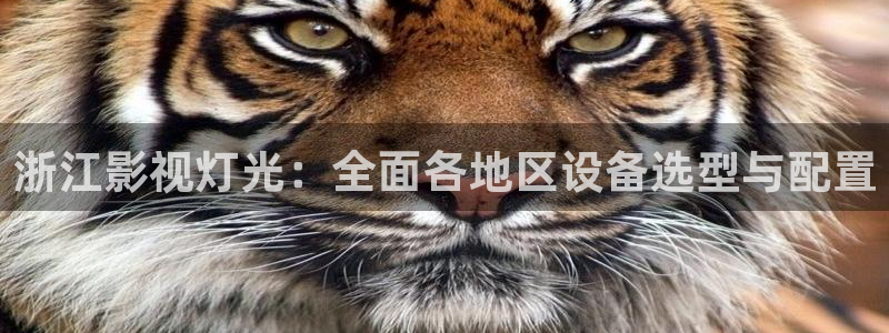 欧美足脚交视频蜜桃av