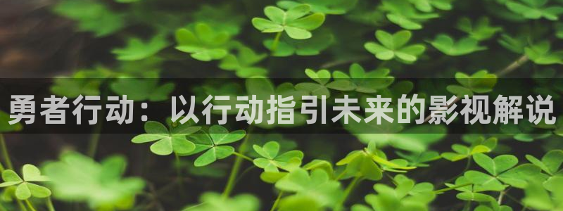 新91蜜桃视频
